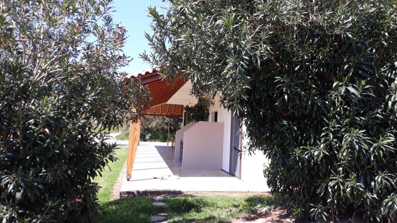 Zefyros Studios Δαμνόνι Εξωτερικό φωτογραφία
